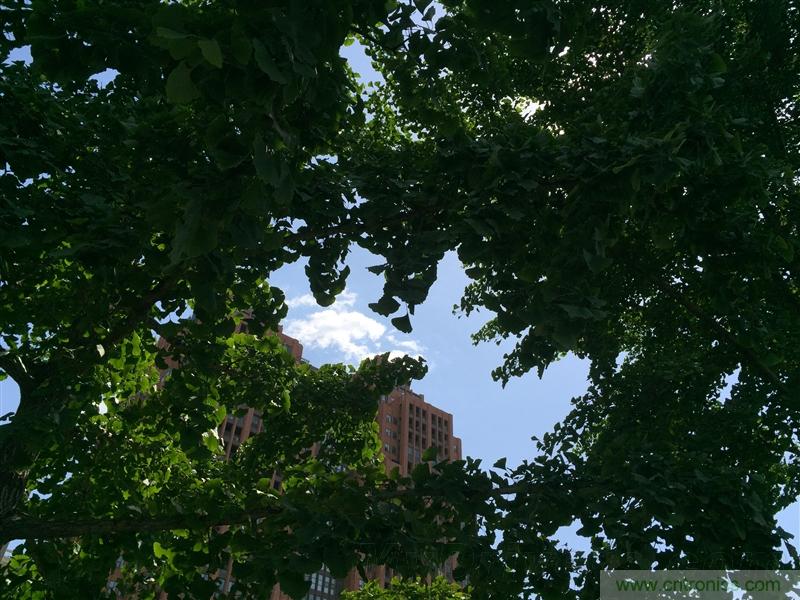 無邊框的 nubia Z9 ，一款既有驚喜，又有驚艷的智能手機