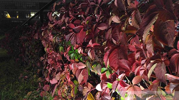 業(yè)界良心 LG V10 評測:剛毅、冷峻，不失人性化