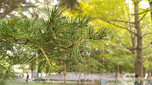 業(yè)界良心 LG V10 評測:剛毅、冷峻，不失人性化