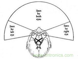 雙目重疊技術(shù)在VR中有什么作用？