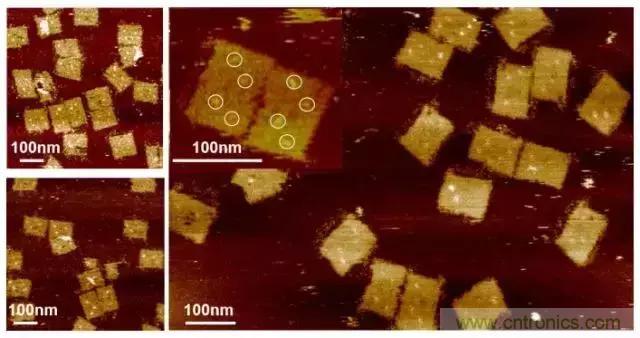 中美科學(xué)家聯(lián)手，用DNA納米機器人殺死癌細胞