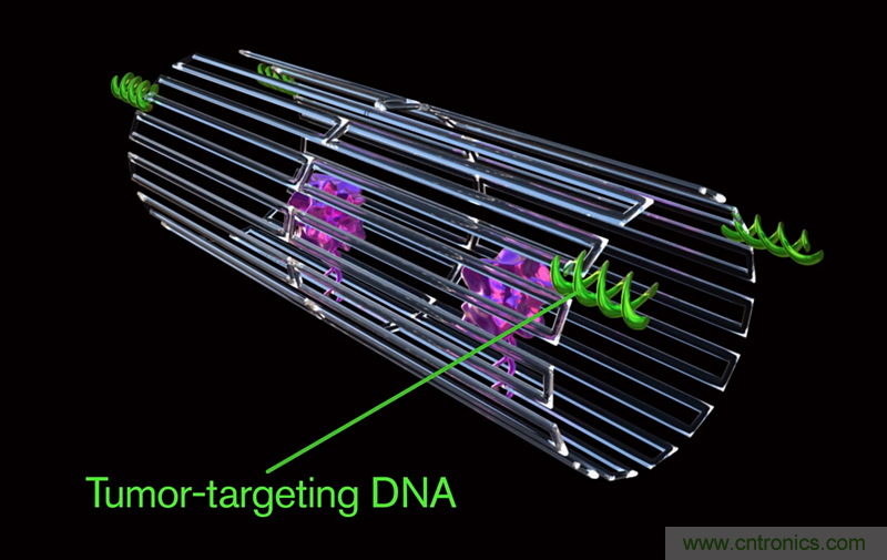 中美科學(xué)家聯(lián)手，用DNA納米機器人殺死癌細胞