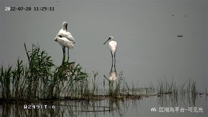 ?？低暟l(fā)布2022年ESG報告：科技為善，助力可持續(xù)的美好未來