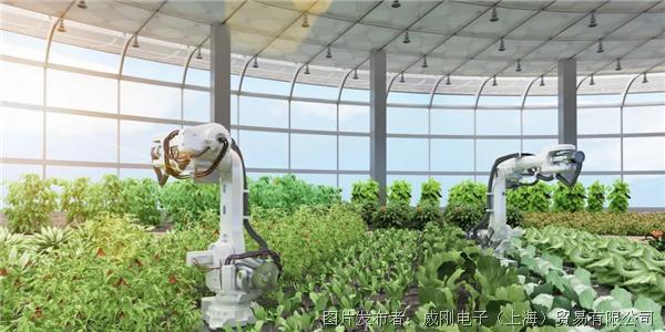 智慧農(nóng)業(yè)大有可為，“數(shù)字種地”更輕松