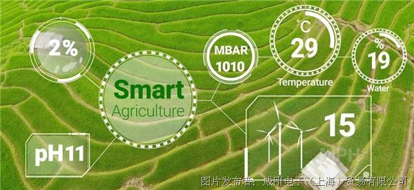 智慧農(nóng)業(yè)大有可為，“數(shù)字種地”更輕松